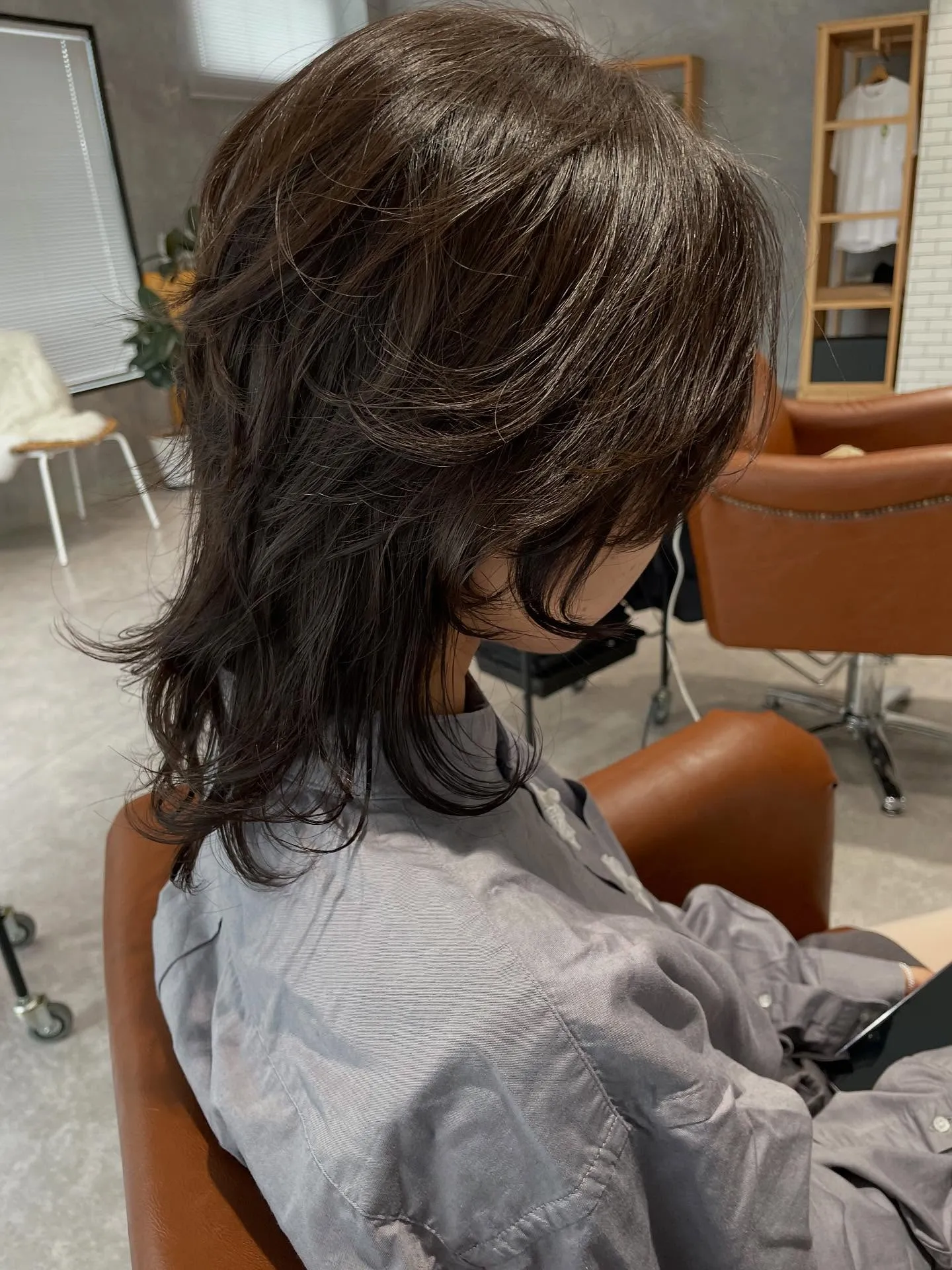 ミディアムウルフ